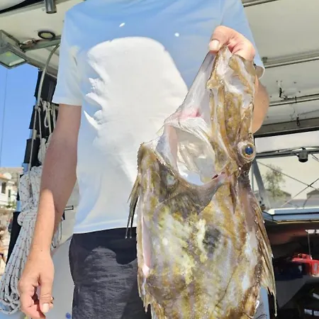 Fishing Chatrer -big Game-izleti Brodom * פרימוסטן