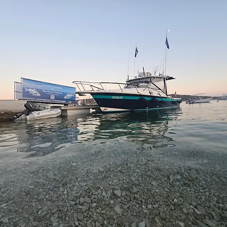 Fishing Chatrer -big Game-izleti Brodom