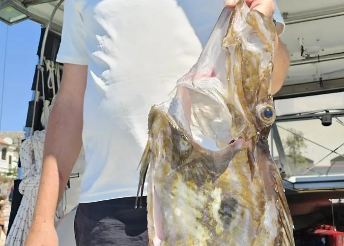 Fishing Chatrer -big Game-izleti Brodom * Primošten