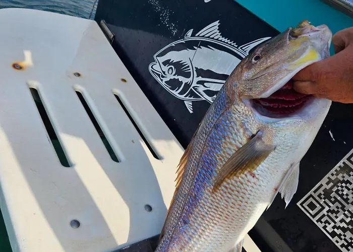 Fishing Chatrer -big Game-izleti Brodom Primošten