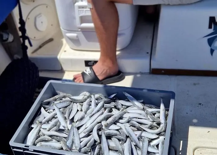 Fishing Chatrer -big Game-izleti Brodom Primošten